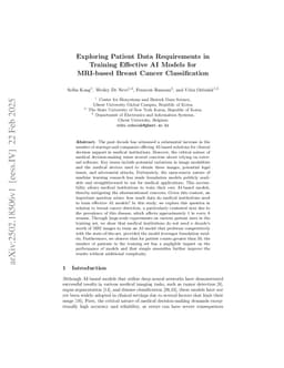 Exploring Patient Data Requirements in Training Effective AI Models for MRI-based Breast Cancer Classification