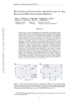 Revisiting Convolution Architecture in the Realm of DNA Foundation Models