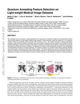 Quantum Annealing Feature Selection on Light-weight Medical Image Datasets