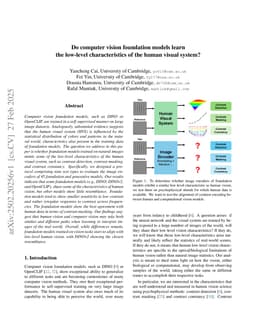 Do computer vision foundation models learn the low-level characteristics of the human visual system?