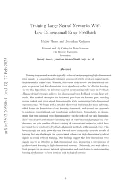 Training Large Neural Networks With Low-Dimensional Error Feedback
