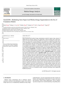 SemiSAM+: Rethinking Semi-Supervised Medical Image Segmentation in the Era of Foundation Models
