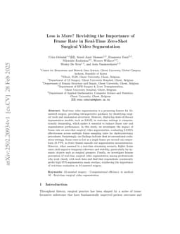 Less is More? Revisiting the Importance of Frame Rate in Real-Time Zero-Shot Surgical Video Segmentation
