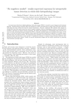"No negatives needed": weakly-supervised regression for interpretable tumor detection in whole-slide histopathology images