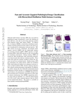 Fast and Accurate Gigapixel Pathological Image Classification with Hierarchical Distillation Multi-Instance Learning