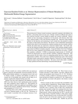 Gaussian Random Fields as an Abstract Representation of Patient Metadata for Multimodal Medical Image Segmentation