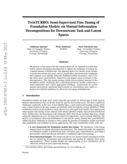 TwinTURBO: Semi-Supervised Fine-Tuning of Foundation Models via Mutual Information Decompositions for Downstream Task and Latent Spaces
