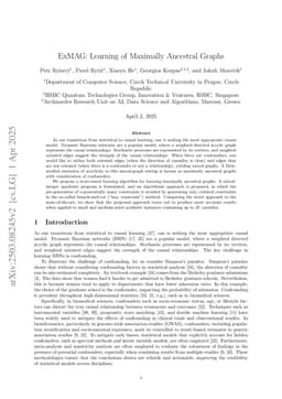 ExMAG: Learning of Maximally Ancestral Graphs