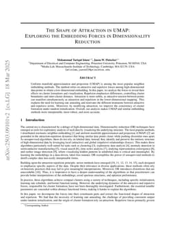 The Shape of Attraction in UMAP: Exploring the Embedding Forces in Dimensionality Reduction