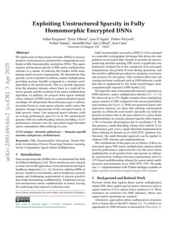 Exploiting Unstructured Sparsity in Fully Homomorphic Encrypted DNNs