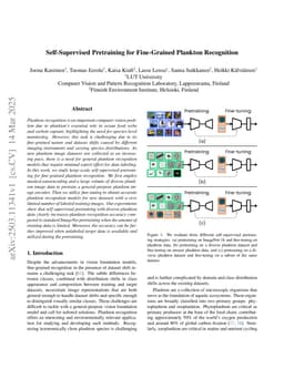 Self-Supervised Pretraining for Fine-Grained Plankton Recognition