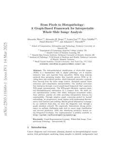 From Pixels to Histopathology: A Graph-Based Framework for Interpretable Whole Slide Image Analysis