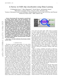 A Survey on SAR ship classification using Deep Learning