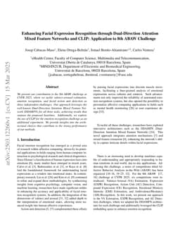 Enhancing Facial Expression Recognition through Dual-Direction Attention Mixed Feature Networks and CLIP: Application to 8th ABAW Challenge