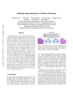 Pathology Image Restoration via Mixture of Prompts