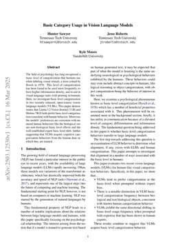 Basic Category Usage in Vision Language Models