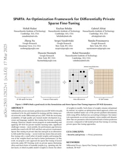 An Optimization Framework for Differentially Private Sparse Fine-Tuning