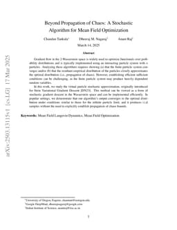 Beyond Propagation of Chaos: A Stochastic Algorithm for Mean Field Optimization