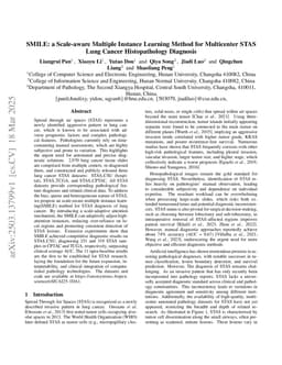SMILE: a Scale-aware Multiple Instance Learning Method for Multicenter STAS Lung Cancer Histopathology Diagnosis