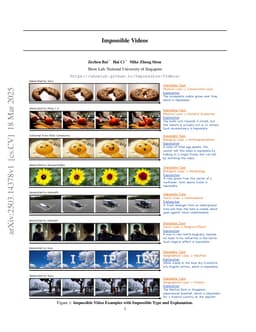 Impossible Videos
