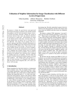 Utilization of Neighbor Information for Image Classification with Different Levels of Supervision