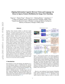 Aligning Information Capacity Between Vision and Language via Dense-to-Sparse Feature Distillation for Image-Text Matching
