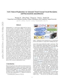 CoE: Chain-of-Explanation via Automatic Visual Concept Circuit Description and Polysemanticity Quantification