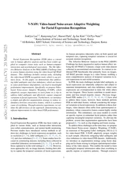 V-NAW: Video-based Noise-aware Adaptive Weighting for Facial Expression Recognition