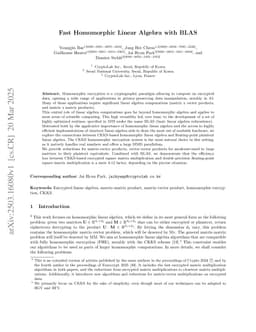 Fast Homomorphic Linear Algebra with BLAS