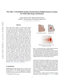 PSA-MIL: A Probabilistic Spatial Attention-Based Multiple Instance Learning for Whole Slide Image Classification