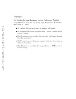 Do Multimodal Large Language Models Understand Welding?
