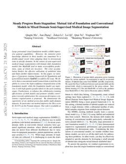 Steady Progress Beats Stagnation: Mutual Aid of Foundation and Conventional Models in Mixed Domain Semi-Supervised Medical Image Segmentation