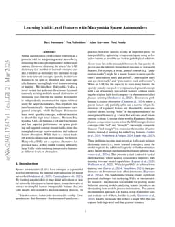 Learning Multi-Level Features with Matryoshka Sparse Autoencoders