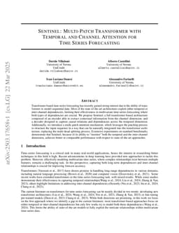 Sentinel: Multi-Patch Transformer with Temporal and Channel Attention for Time Series Forecasting