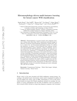 Histomorphology-driven multi-instance learning for breast cancer WSI classification