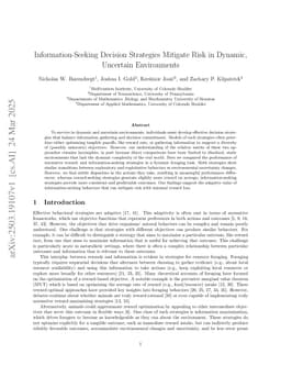 Information-Seeking Decision Strategies Mitigate Risk in Dynamic, Uncertain Environments