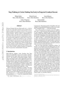 Stop Walking in Circles! Bailing Out Early in Projected Gradient Descent