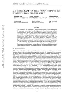 Assessing SAM for Tree Crown Instance Segmentation from Drone Imagery