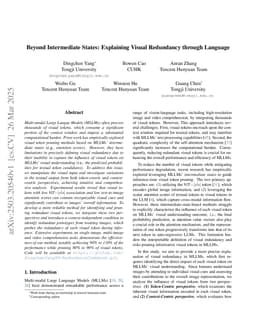 Beyond Intermediate States: Explaining Visual Redundancy through Language