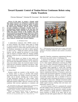 Toward Dynamic Control of Tendon-Driven Continuum Robots using Clarke Transform