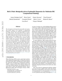 BioX-CPath: Biologically-driven Explainable Diagnostics for Multistain IHC Computational Pathology