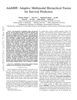 AdaMHF: Adaptive Multimodal Hierarchical Fusion for Survival Prediction