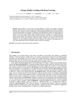 Orange Quality Grading with Deep Learning
