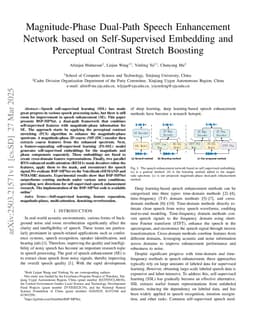 Magnitude-Phase Dual-Path Speech Enhancement Network based on Self-Supervised Embedding and Perceptual Contrast Stretch Boosting