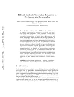 Efficient Epistemic Uncertainty Estimation in Cerebrovascular Segmentation