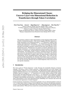 Bridging the Dimensional Chasm: Uncover Layer-wise Dimensional Reduction in Transformers through Token Correlation