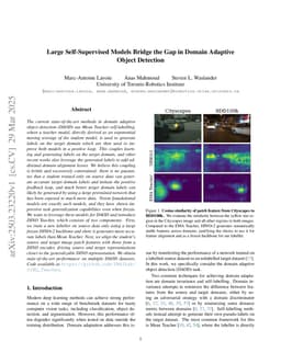Large Self-Supervised Models Bridge the Gap in Domain Adaptive Object Detection