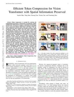 Efficient Token Compression for Vision Transformer with Spatial Information Preserved