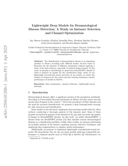Lightweight Deep Models for Dermatological Disease Detection: A Study on Instance Selection and Channel Optimization