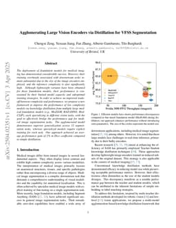 Agglomerating Large Vision Encoders via Distillation for VFSS Segmentation
